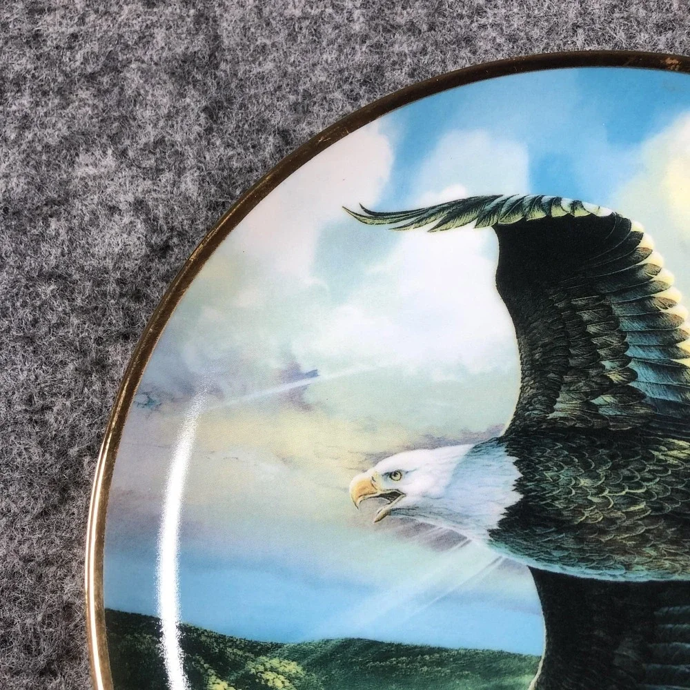 Vintage Save The‎ Eagle Proud And Free Multicolor Porcelain Plate U2357